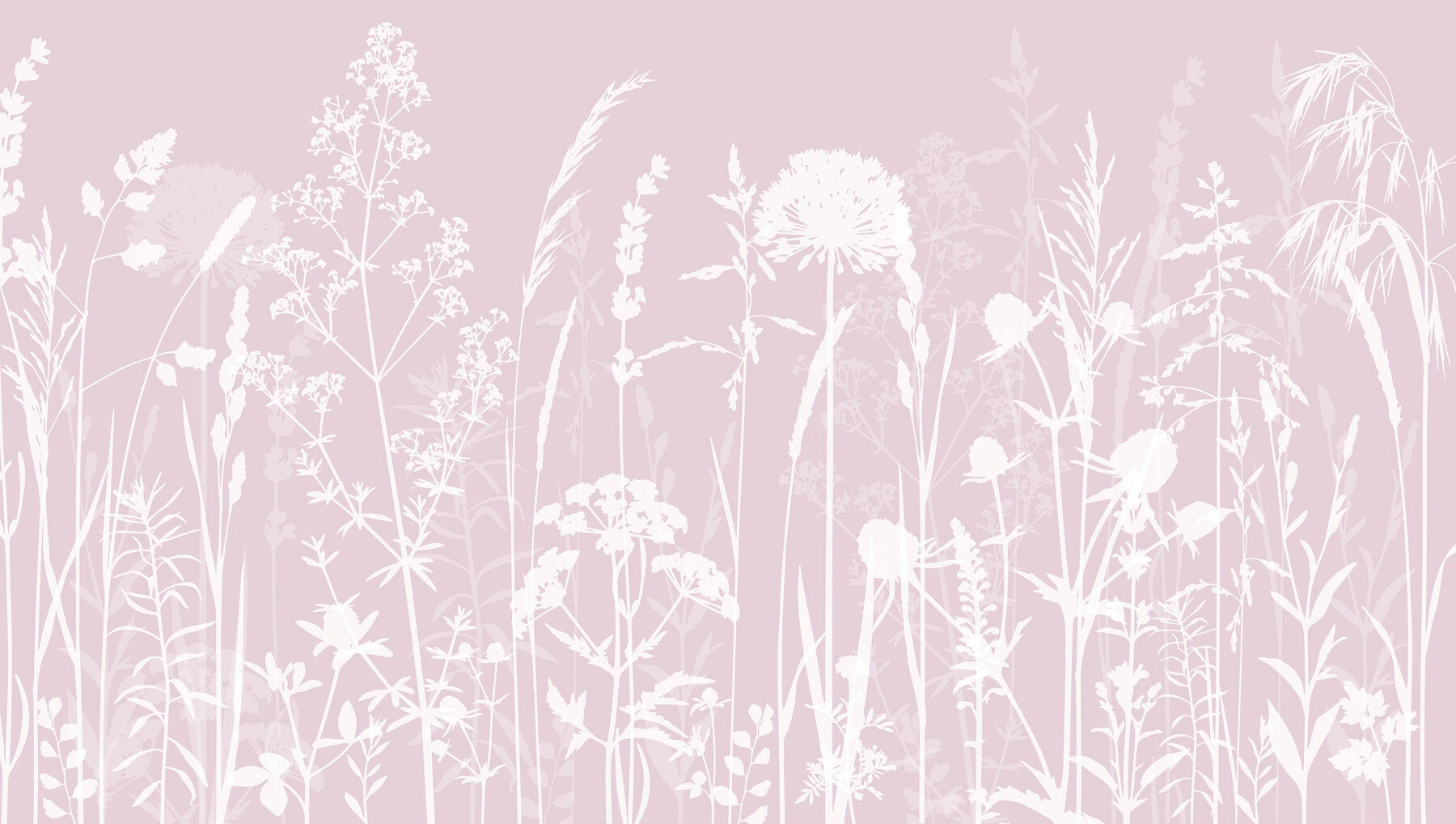 A white silhouettes of flowers