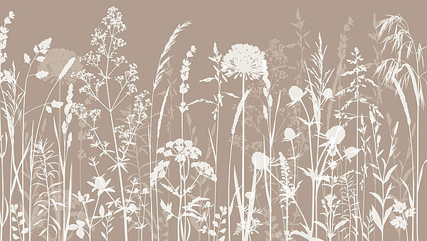 A close up of flowers A close up of flowers