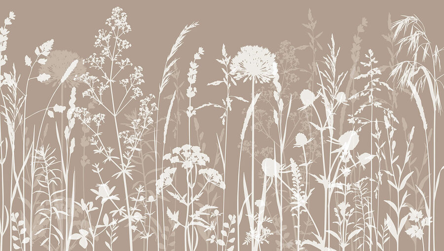 A close up of flowers A close up of flowers