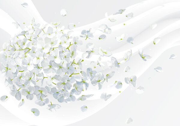 A white flowers flying in the air A white flowers flying in the air