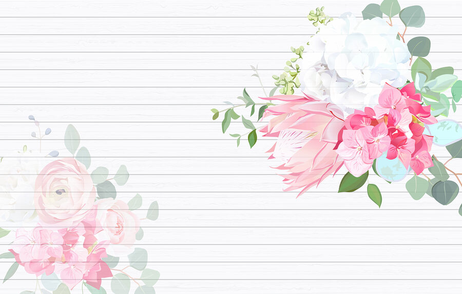 A white and pink flowers on a white background