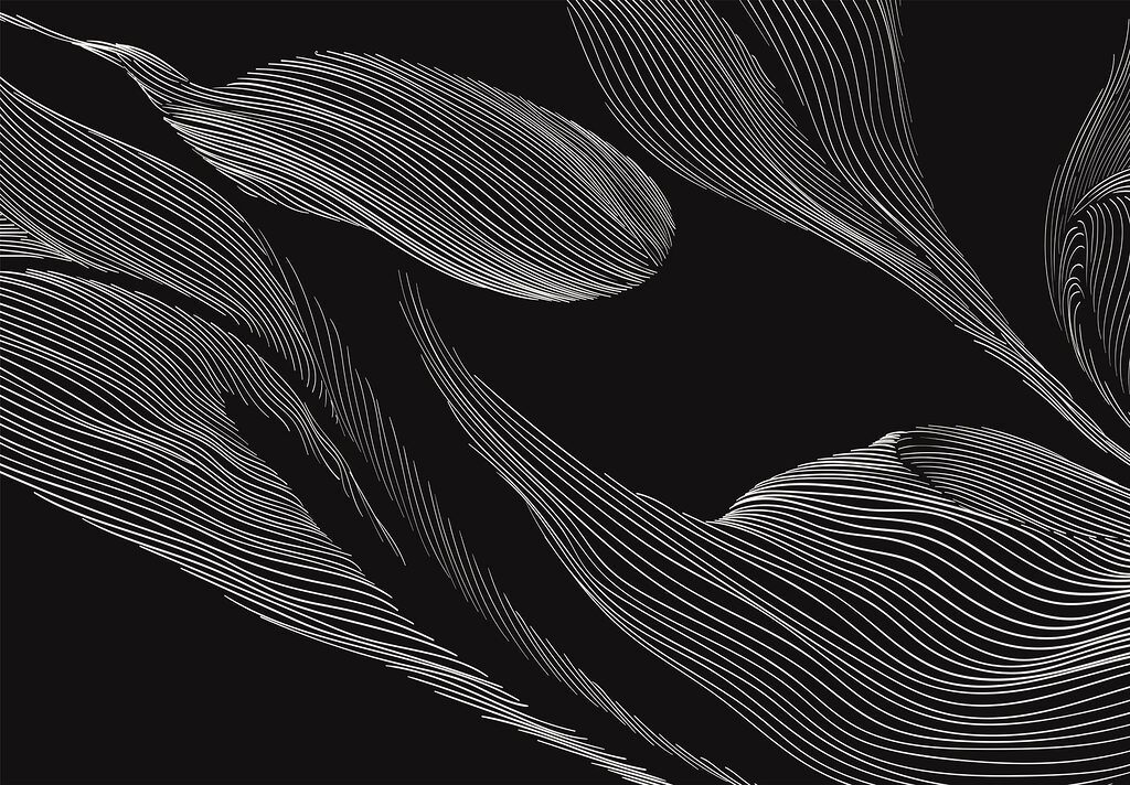 A black and white image of a leaf