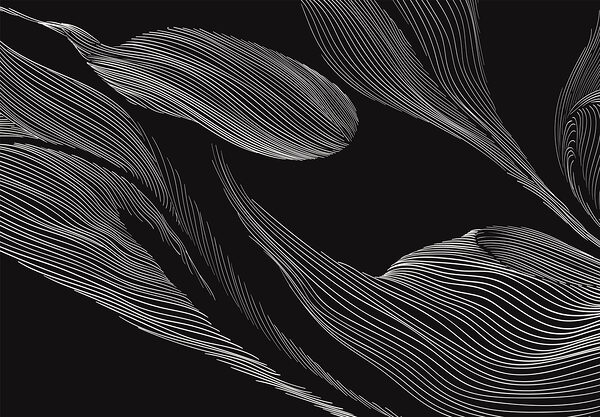 A black and white image of a leaf