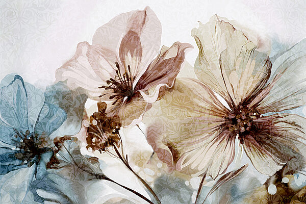 Close up of flowers Close up of flowers