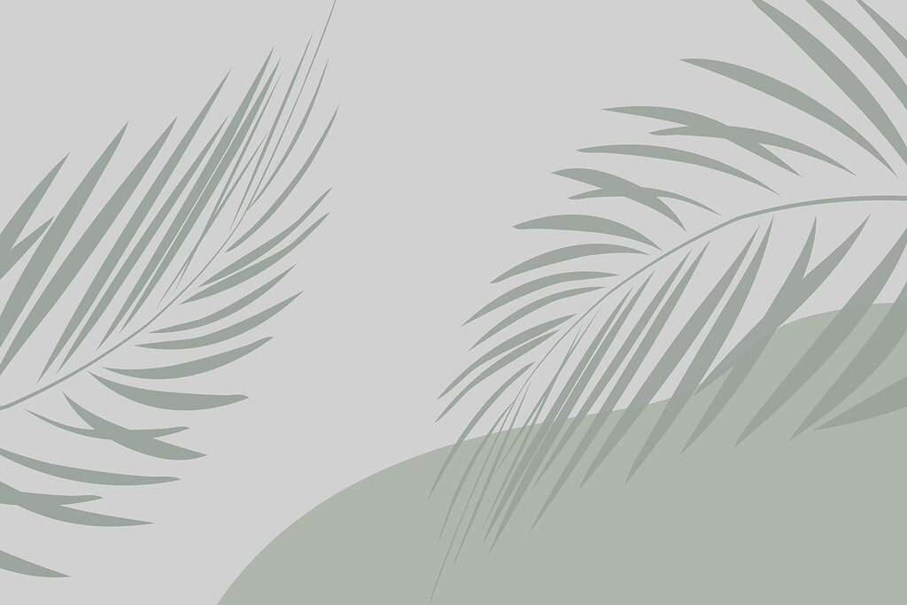 Palm leaves on a grey background Palm leaves on a grey background