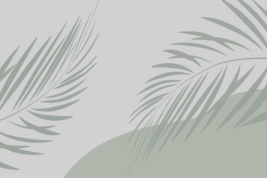 Palm leaves on a grey background Palm leaves on a grey background