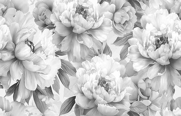 Close up of flowers Close up of flowers