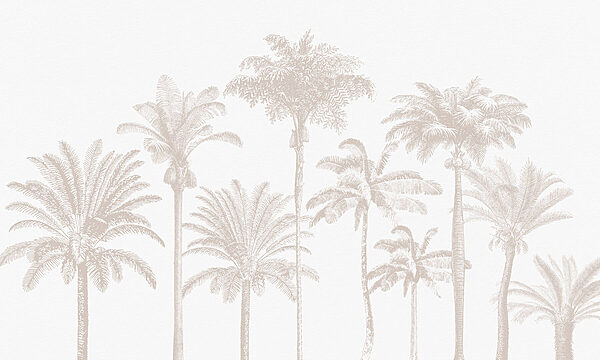 Group of palm trees Group of palm trees
