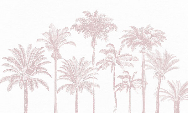 Group of palm trees Group of palm trees
