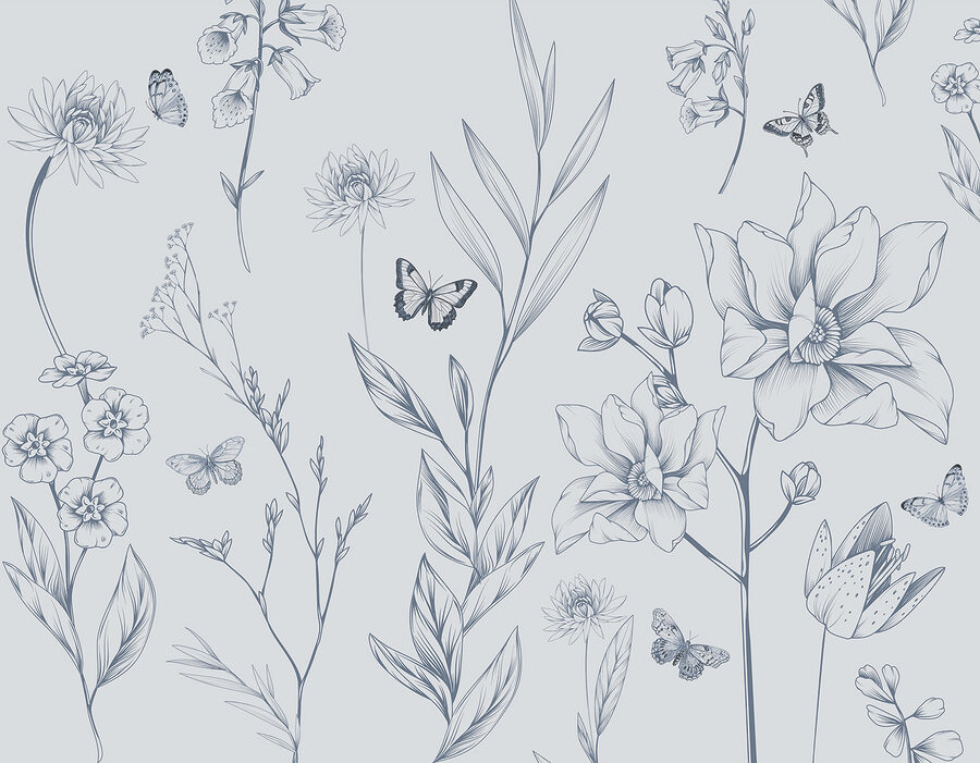 Drawing of flowers and butterflies Drawing of flowers and butterflies