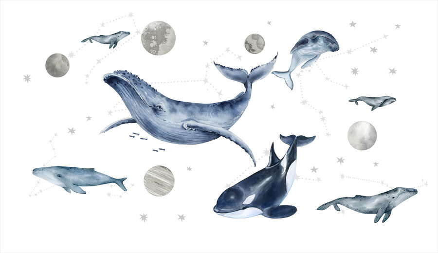 Wall murals Group of whales and fish - Image 3