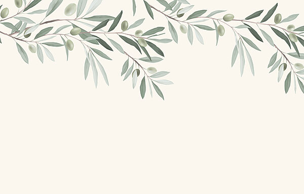 Branch with leaves and olives