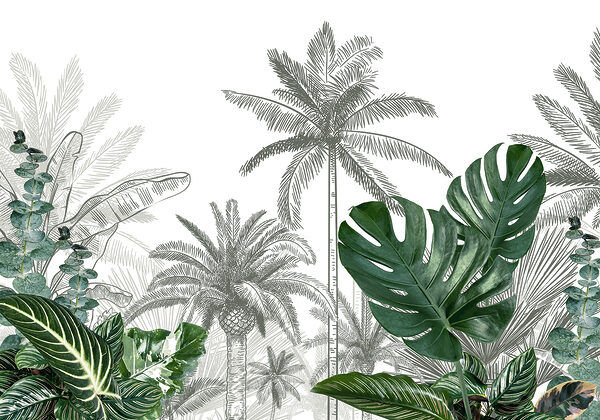 Group of palm trees Group of palm trees