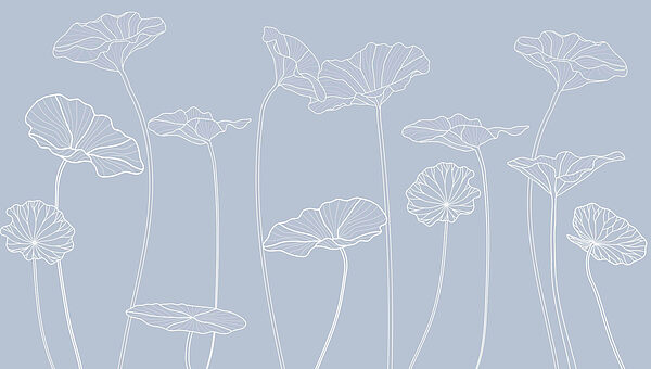 Line drawing of flowers Line drawing of flowers
