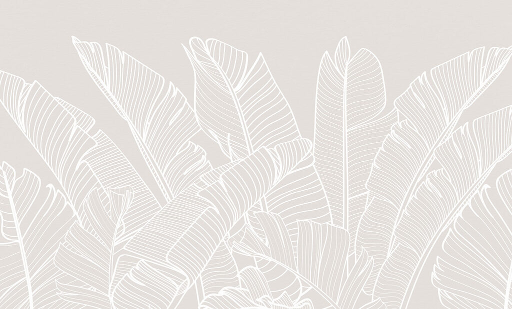 Close up of leaves Close up of leaves