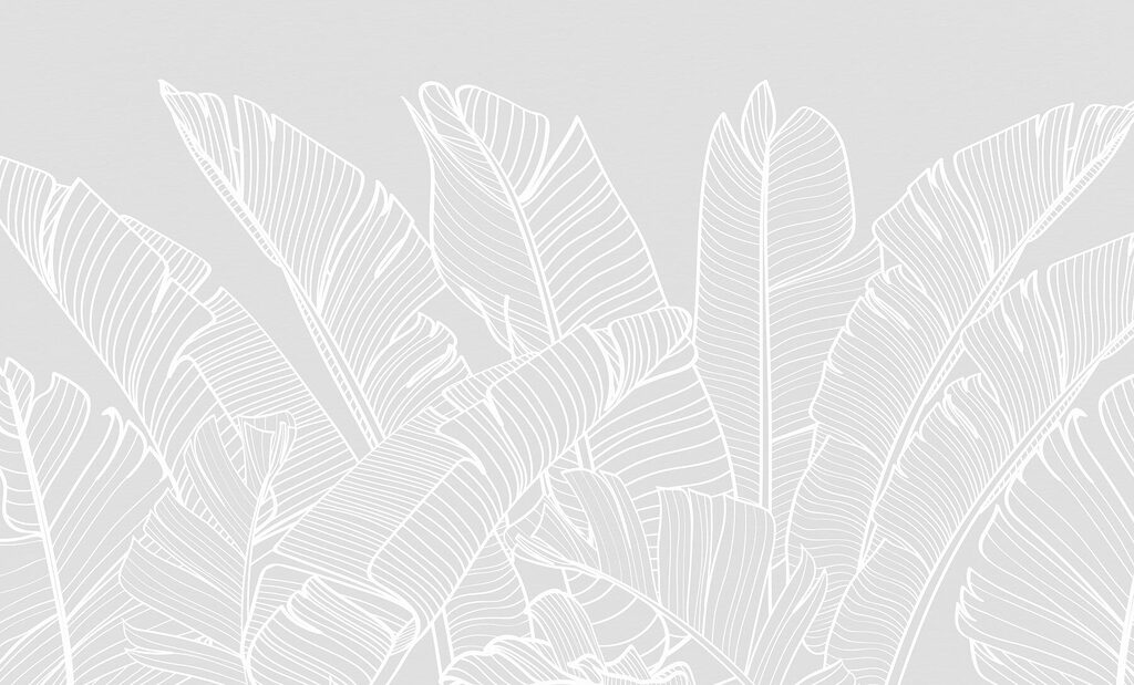 White line drawing of leaves White line drawing of leaves