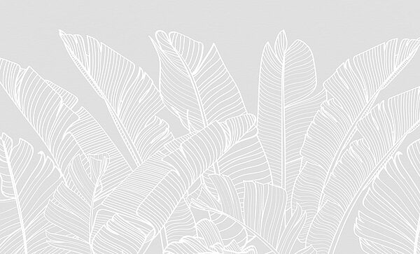 White line drawing of leaves White line drawing of leaves