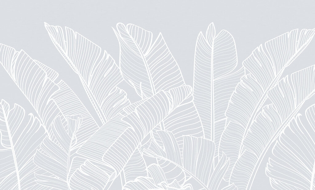White line drawing of leaves White line drawing of leaves