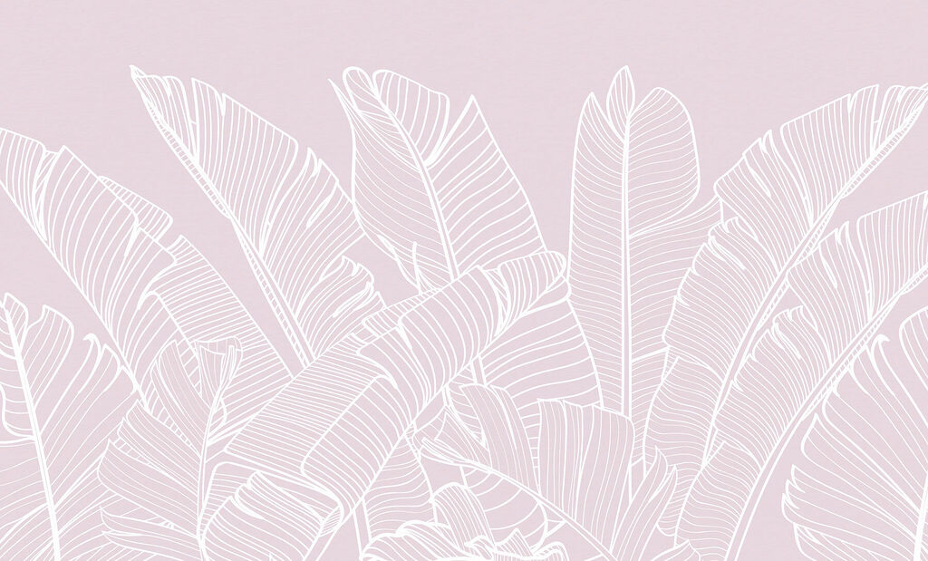 Close up of leaves Close up of leaves