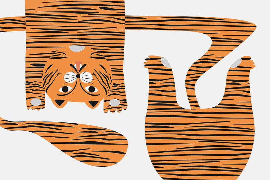 Wall murals Tiger with black stripes - Image 3