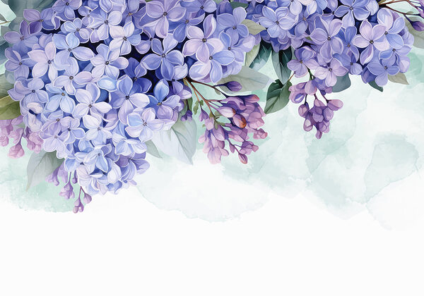 Bunch of purple flowers Bunch of purple flowers