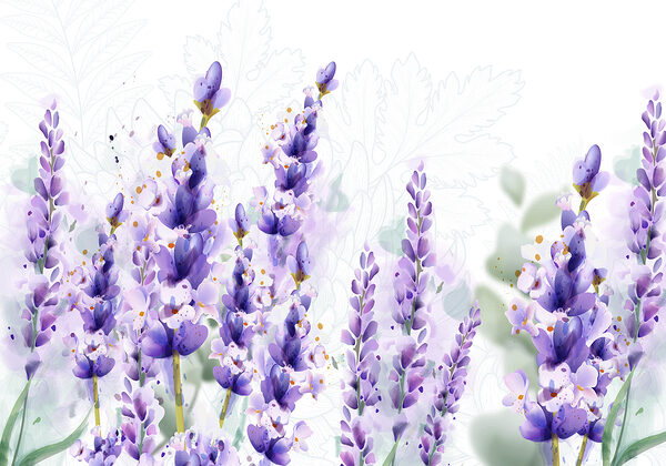Group of purple flowers Group of purple flowers