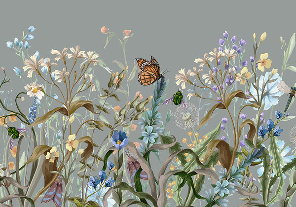 Butterfly on a flower Butterfly on a flower
