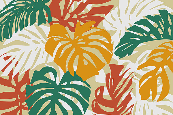 Colorful leaves on a white background Colorful leaves on a white background