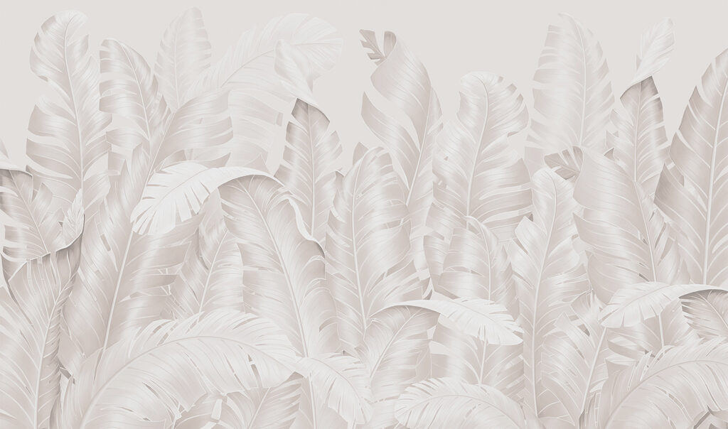 w01481p 1024x604 - Group of white feathers
