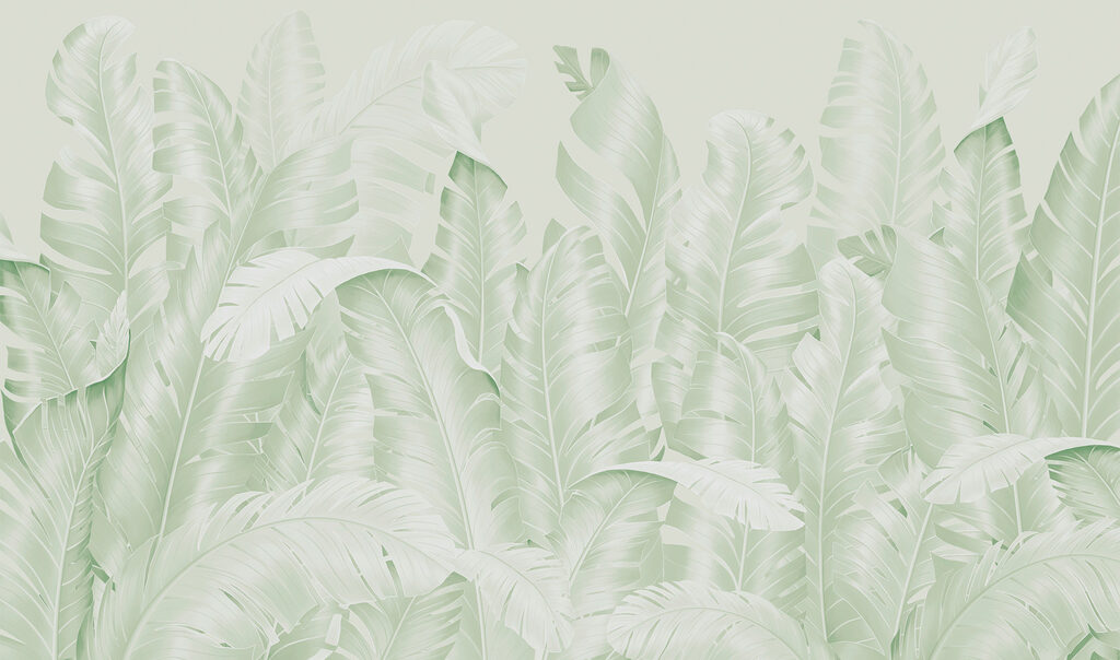 Group of leaves on a white background Group of leaves on a white background