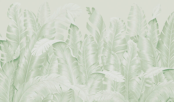 Group of leaves on a white background Group of leaves on a white background