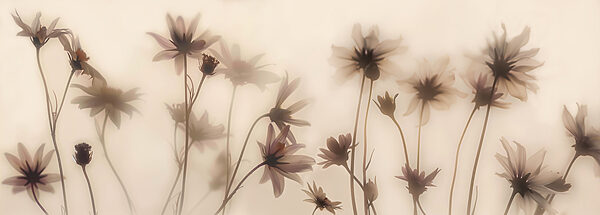 Group of flowers with blurry background Group of flowers with blurry background