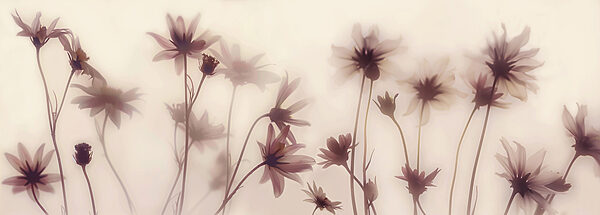 Group of flowers with stems Group of flowers with stems