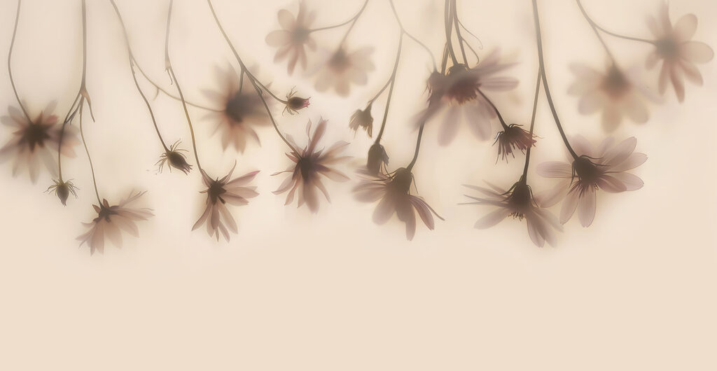 Group of flowers on a white background Group of flowers on a white background