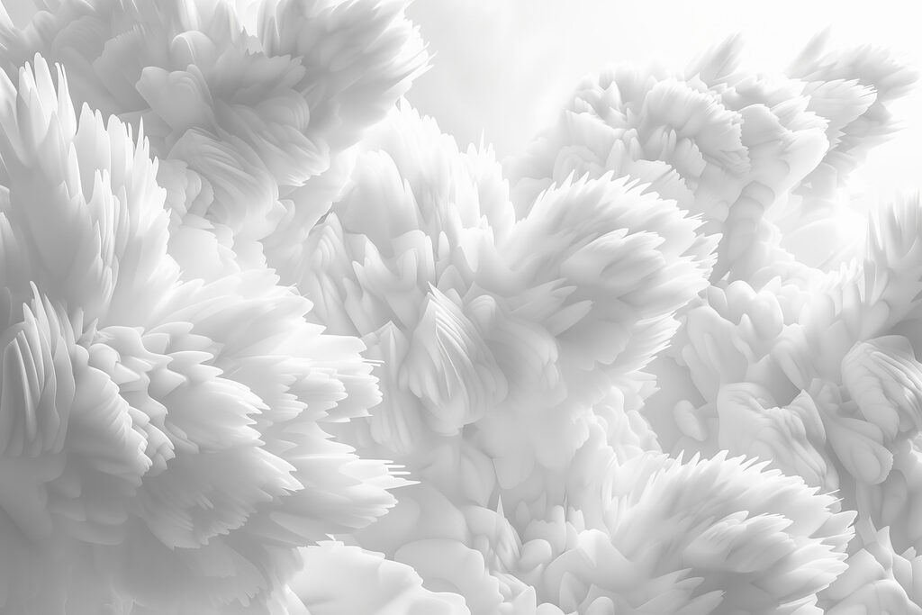 Close up of white fluffy objects Close up of white fluffy objects