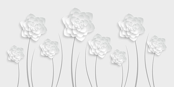 White paper flowers on a white background White paper flowers on a white background