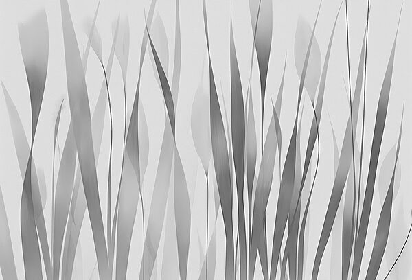 Grey and white image of plants Grey and white image of plants