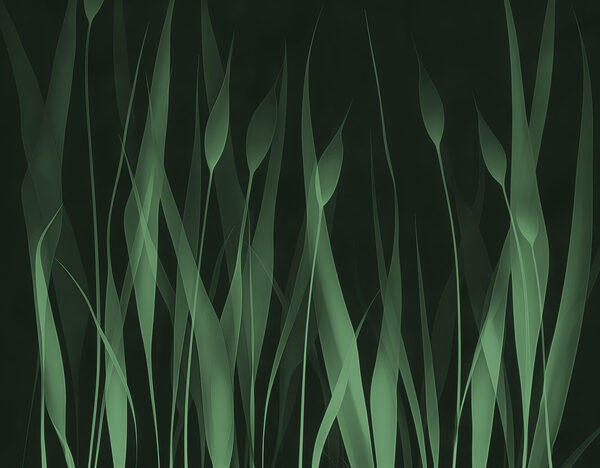 Green grass with black background Green grass with black background