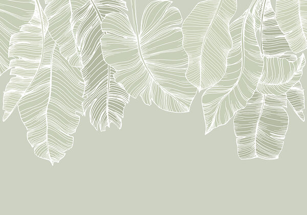 Close up of leaves Close up of leaves
