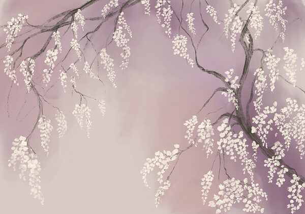 Tree branch with white flowers Tree branch with white flowers