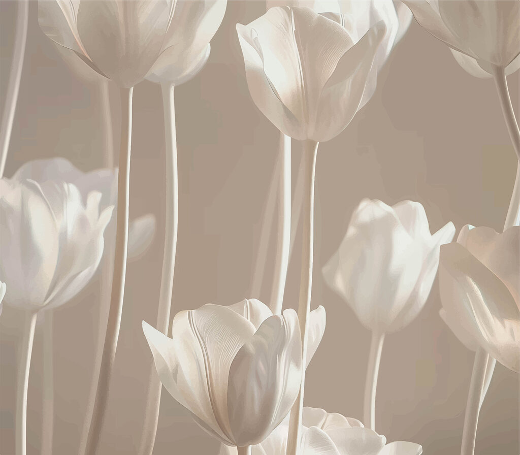 Group of white flowers Group of white flowers