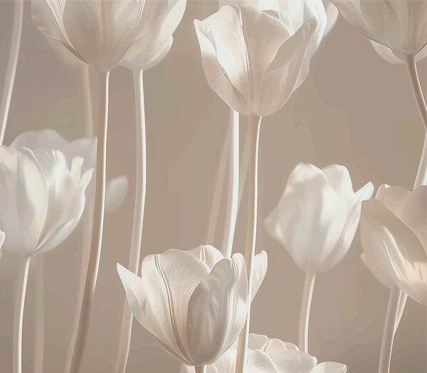 Group of white flowers Group of white flowers