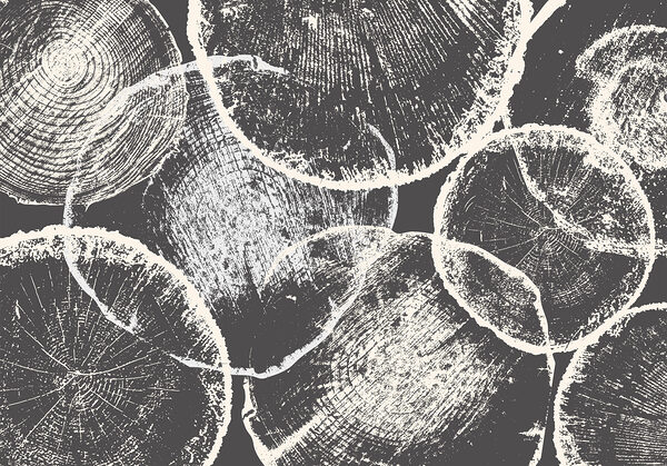 Group of circles on a gray background Group of circles on a gray background