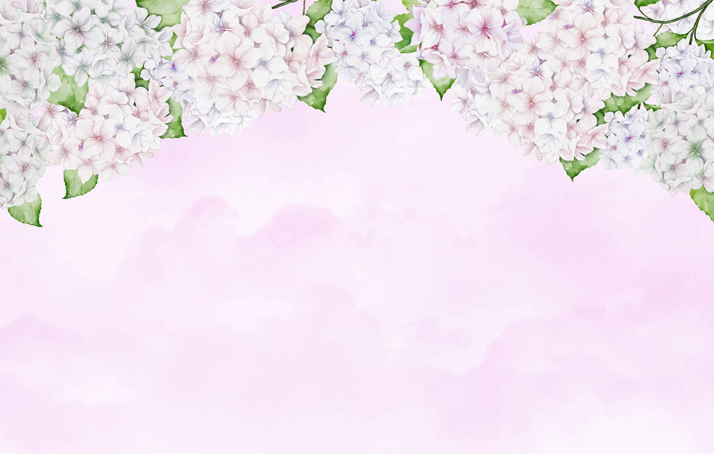 Pink and white flower border Pink and white flower border
