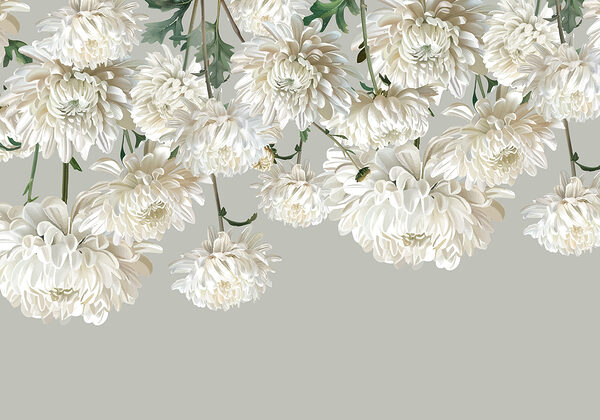 Group of white flowers Group of white flowers
