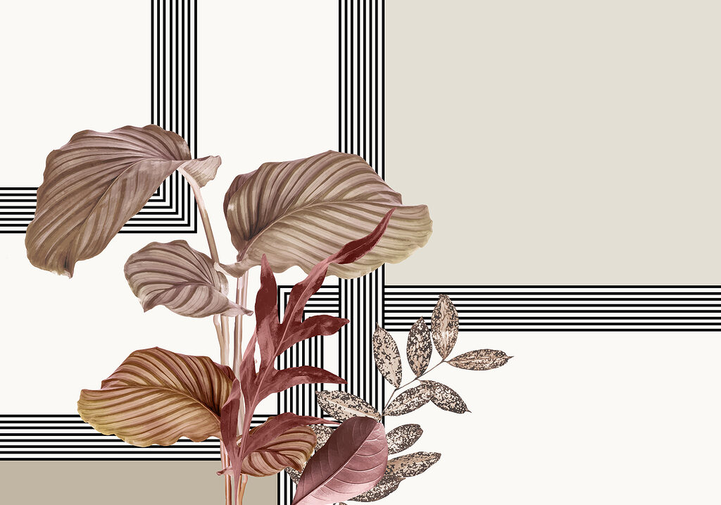 Plant with brown leaves Plant with brown leaves