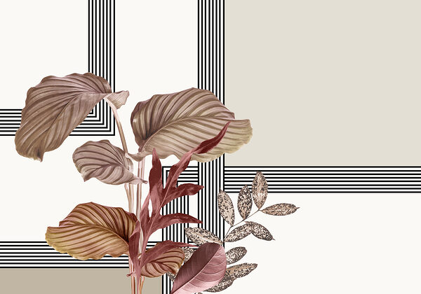 Plant with brown leaves Plant with brown leaves