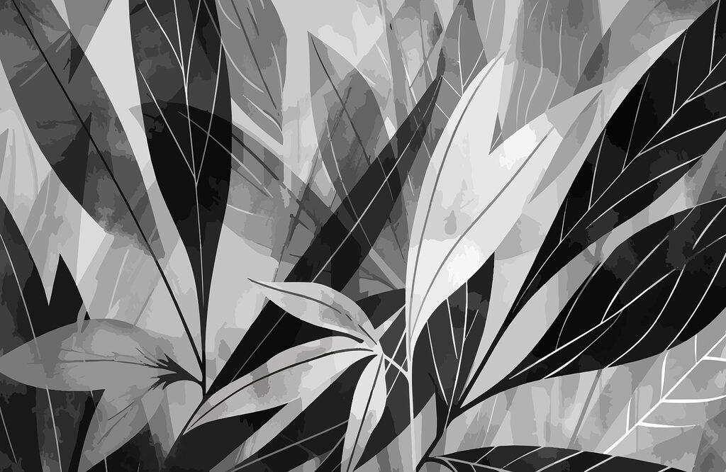 Black and white image of leaves Black and white image of leaves