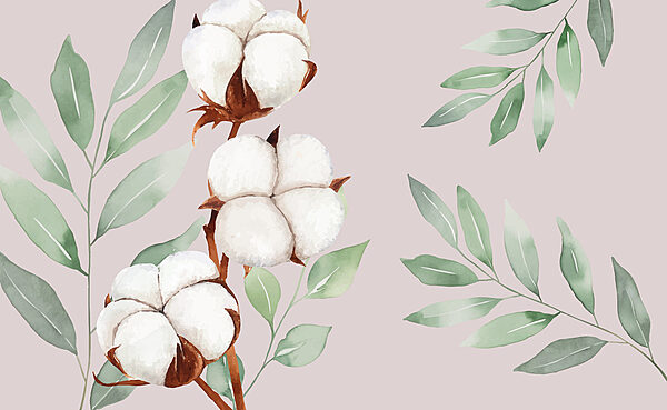 Cotton flowers and leaves Cotton flowers and leaves