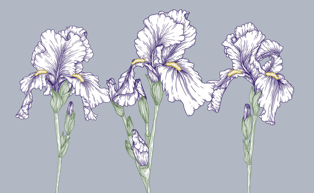 Group of white flowers Group of white flowers